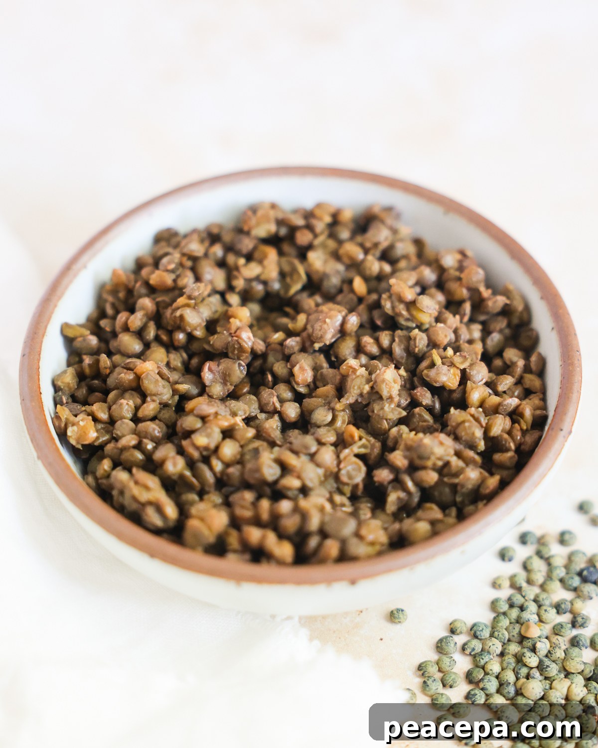 Cooked lentils in a bowl. 