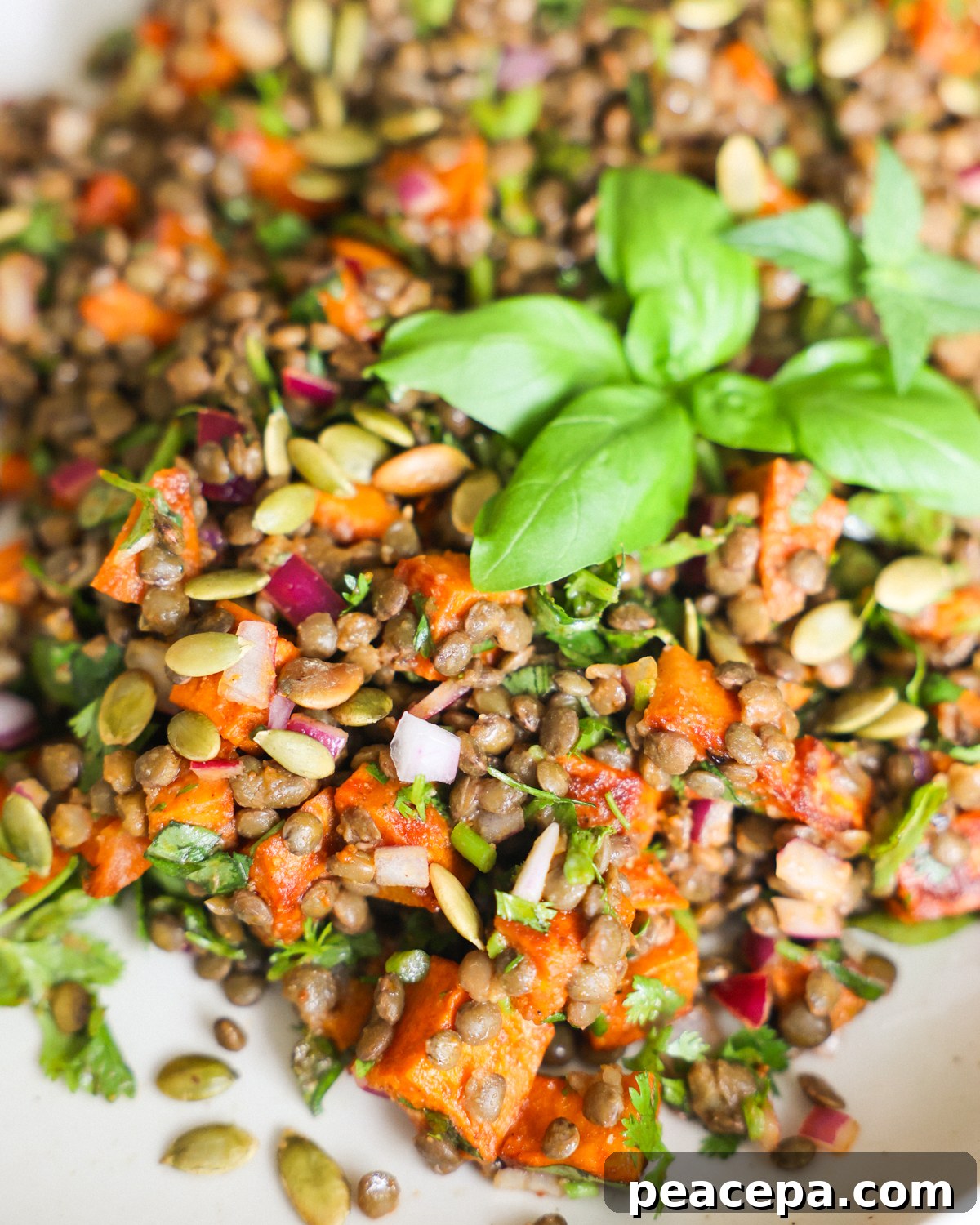 Lentil salad with herbs and sweet potatoes.