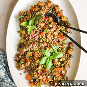 overhead lentil salad on platter