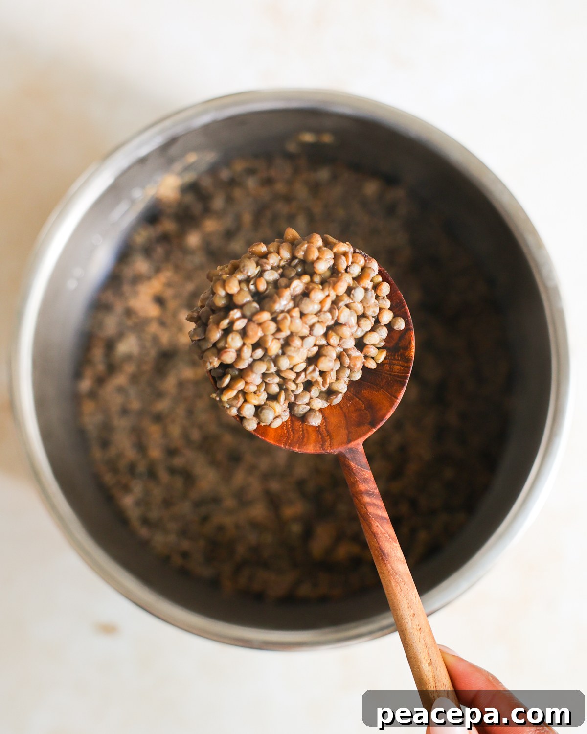 Lentils on a spoon.