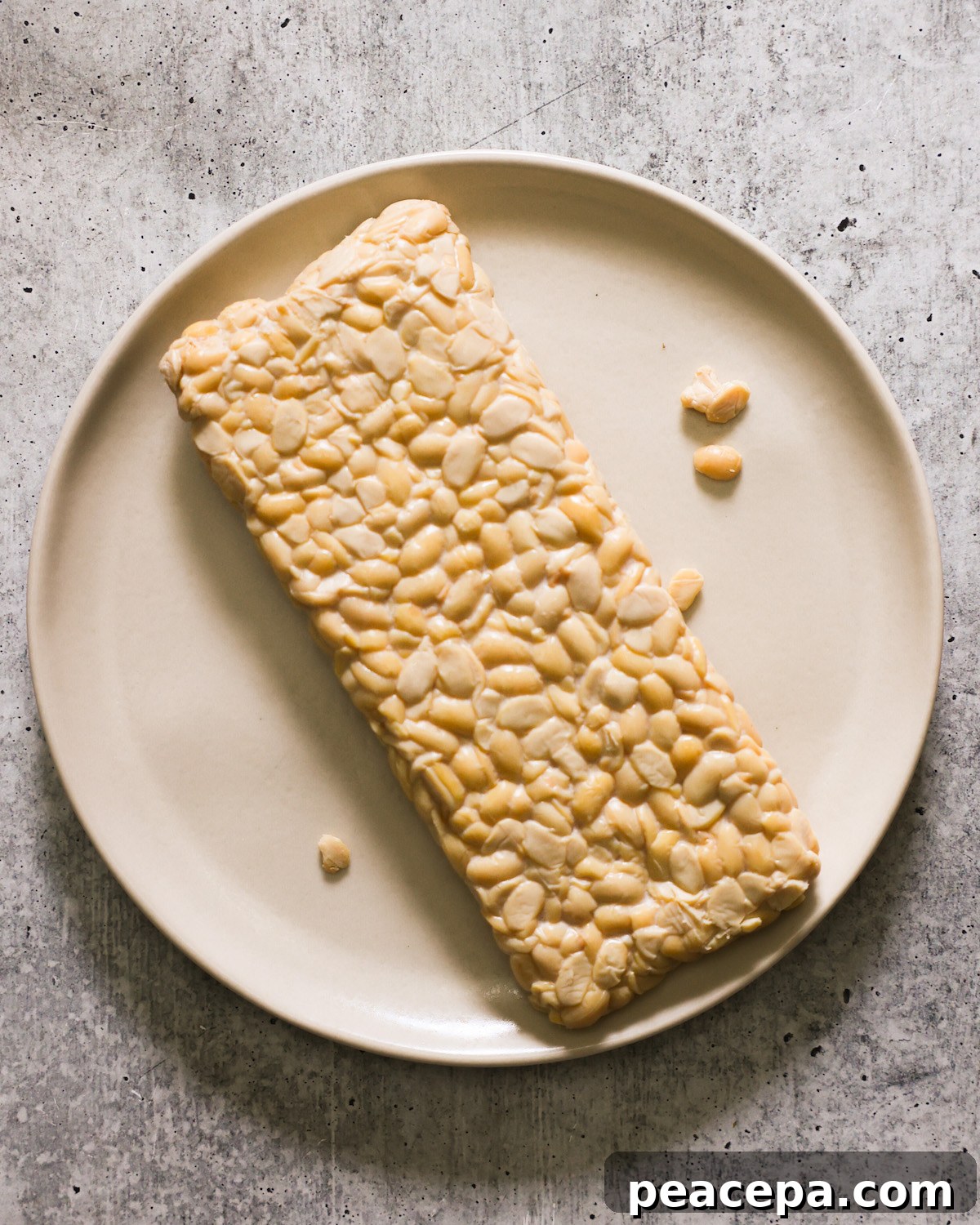 raw tempeh on a white plate