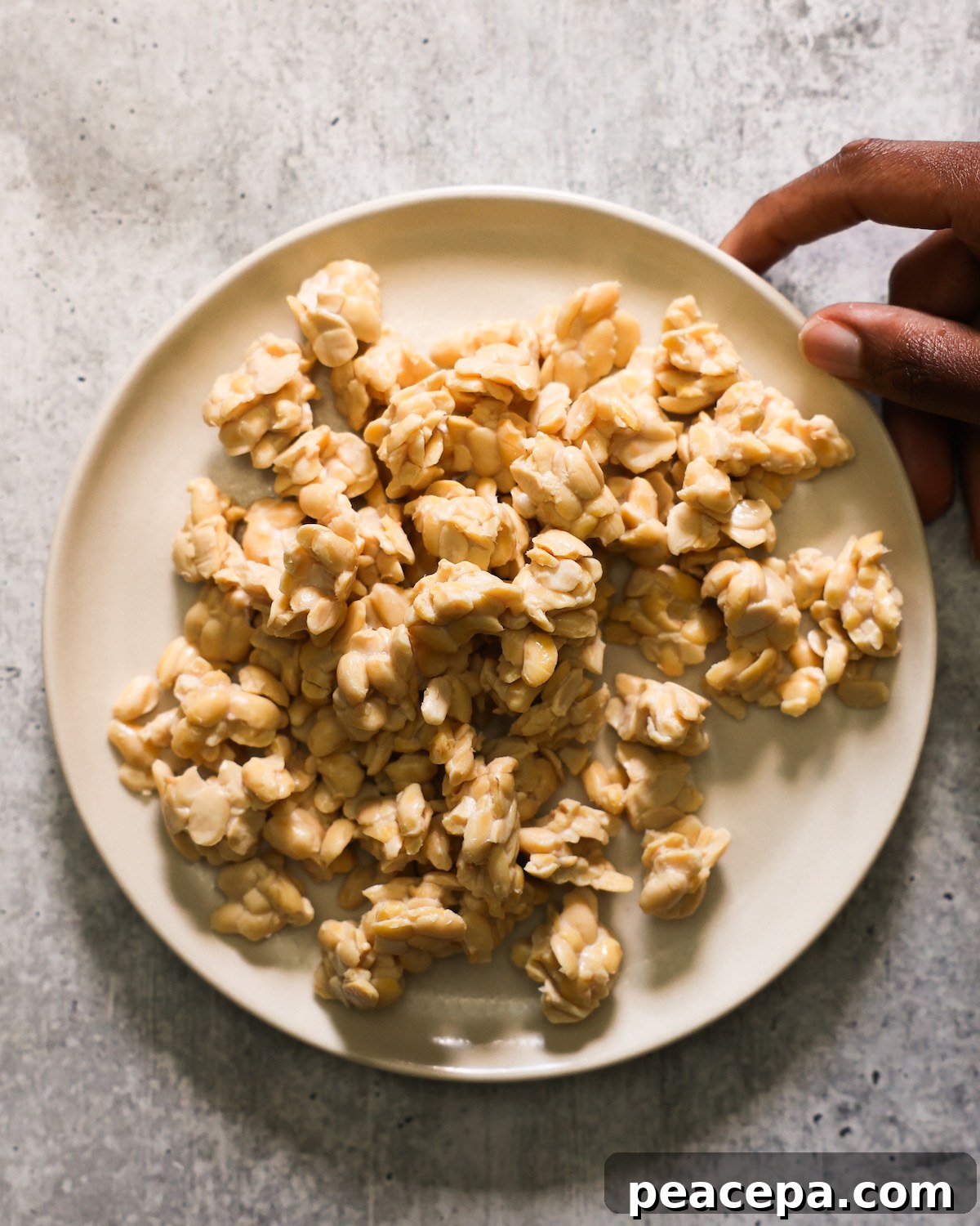 crumbled tempeh on a white plate