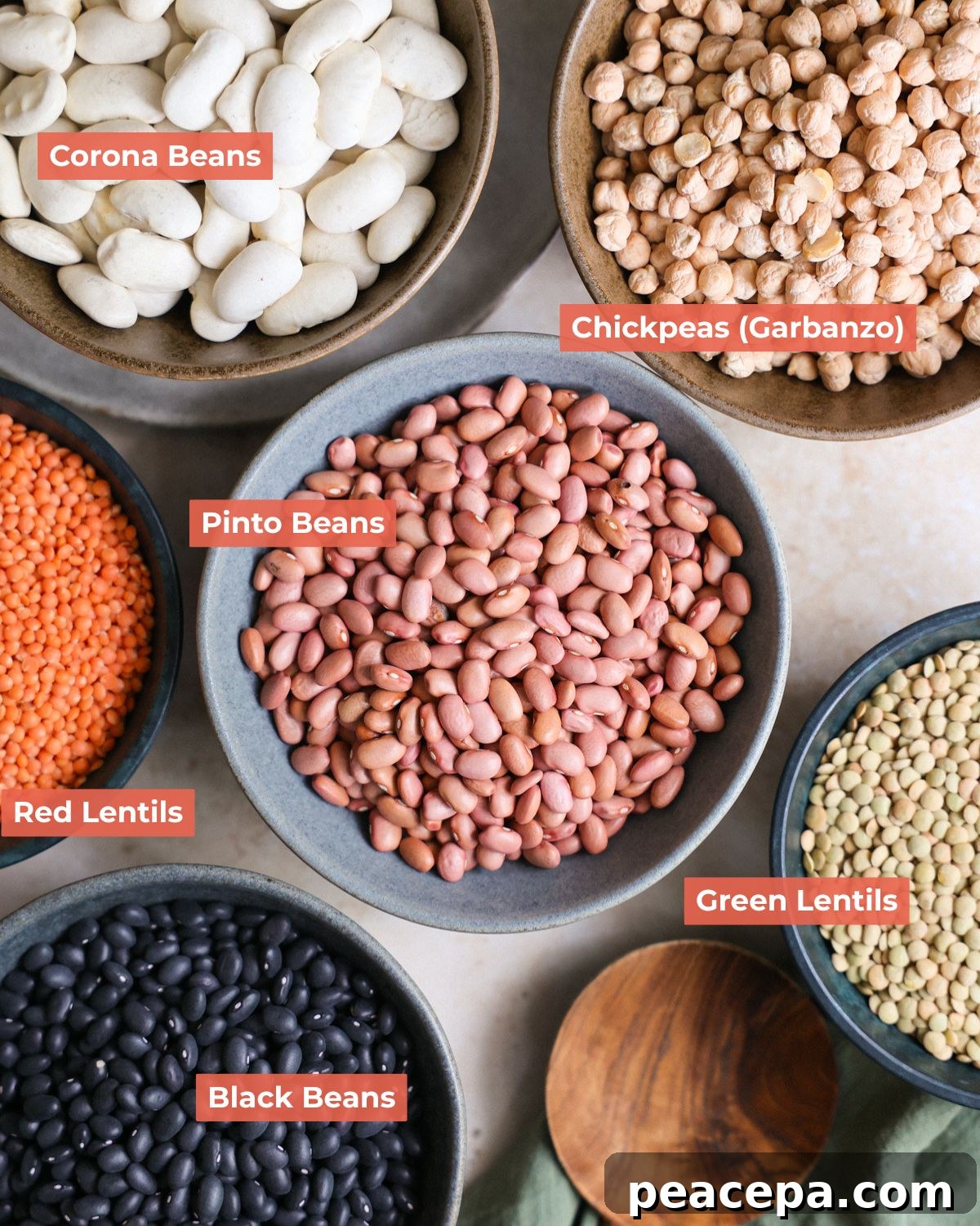 Varieties of beans and lentils in bowls.