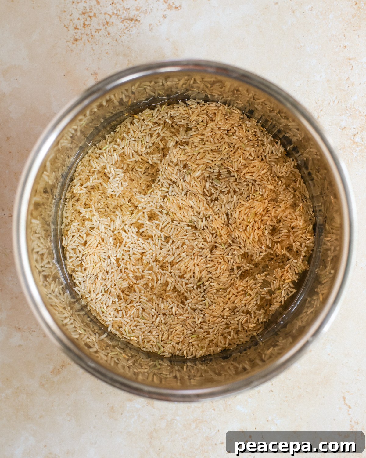 rice and water in instant pot before cooking