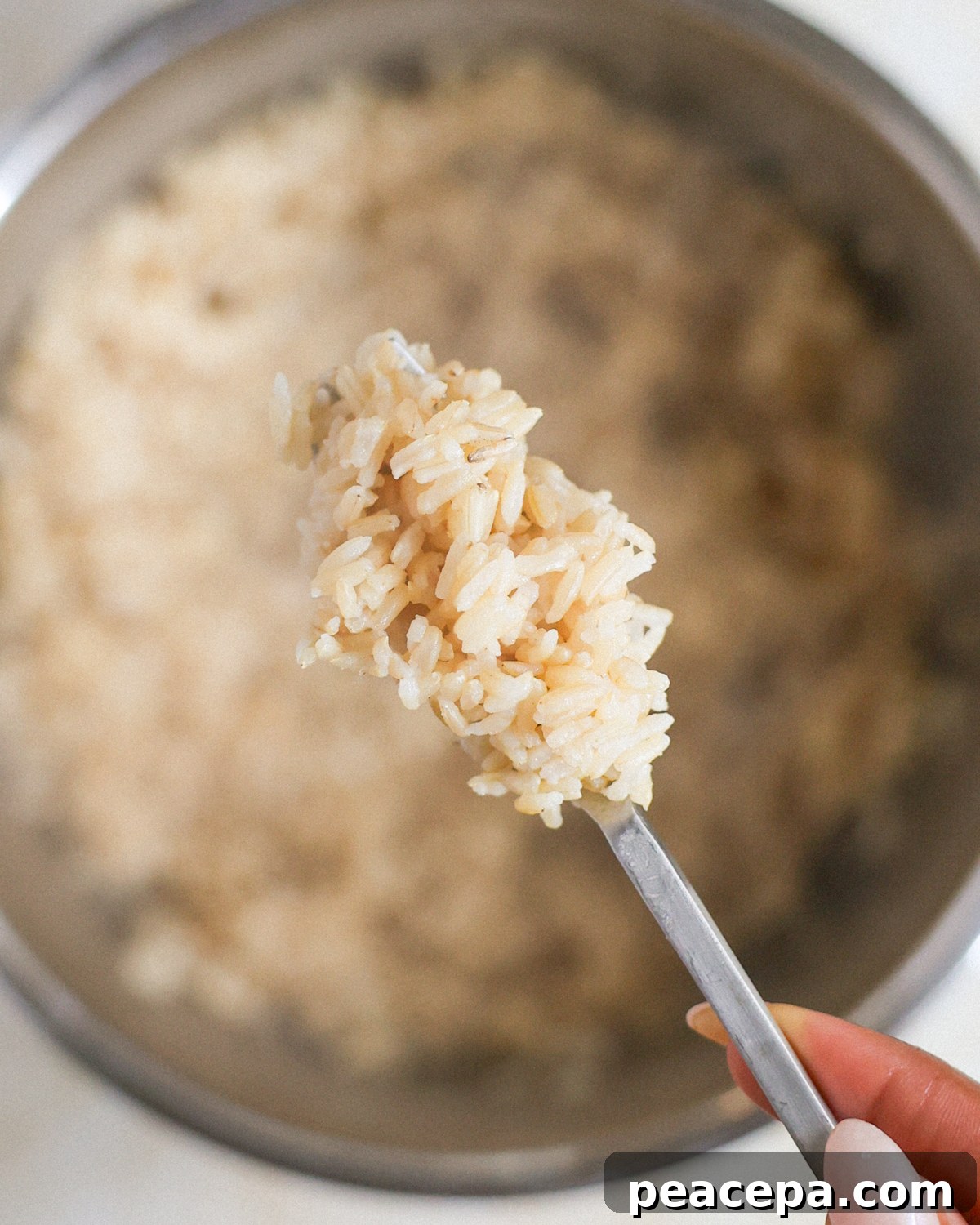 overhead of a forkful of fluffy rice