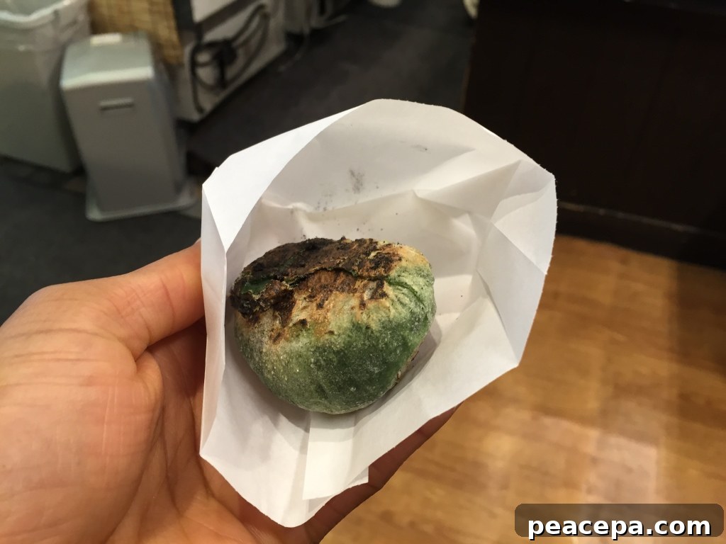 Mugwort Mochi Kyoto Japan