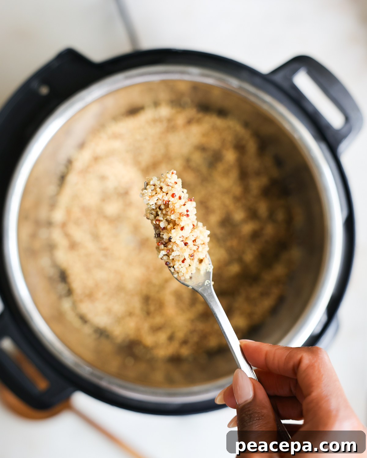 fluffed quinoa on fork
