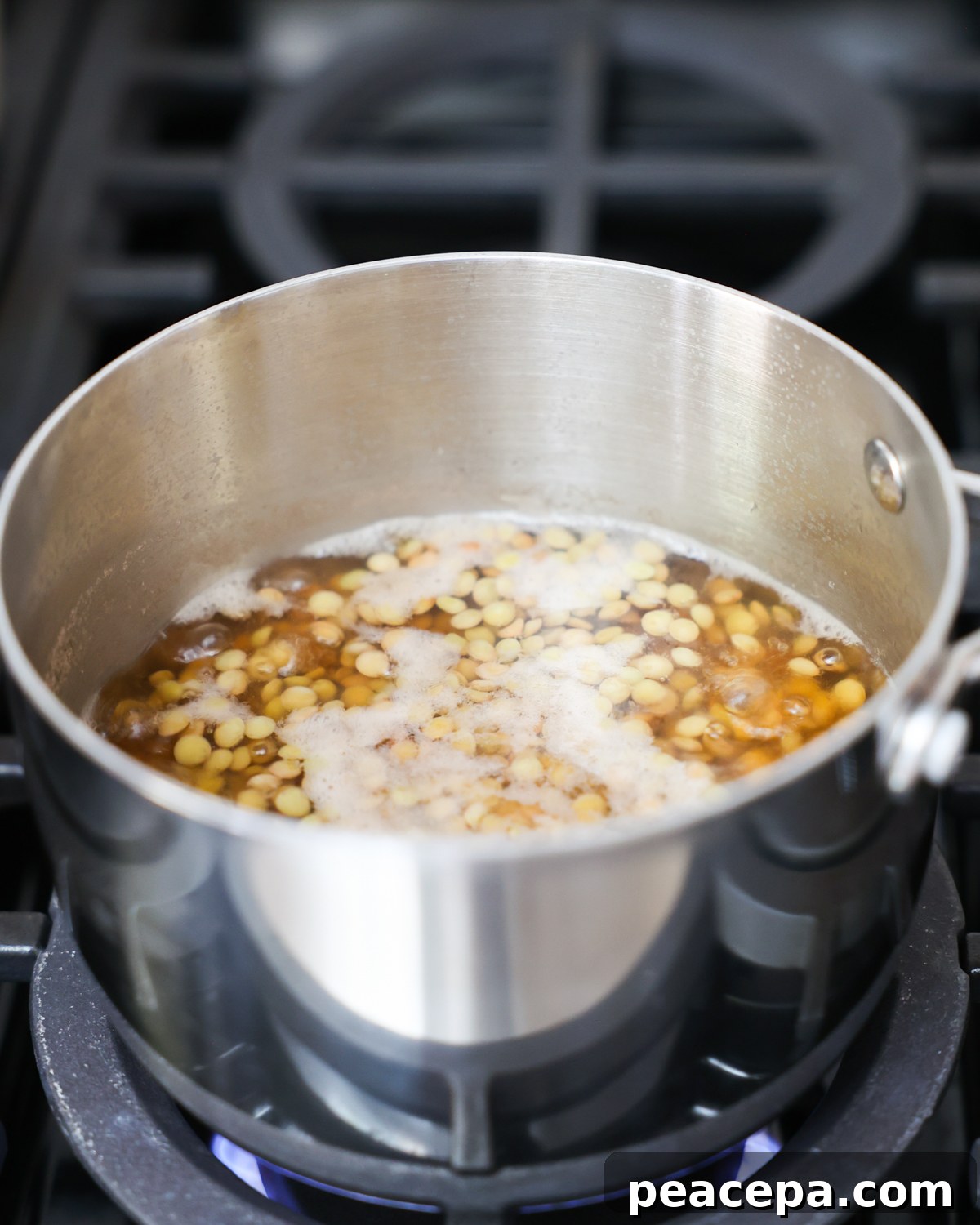 Simmering lentils in a pot. 