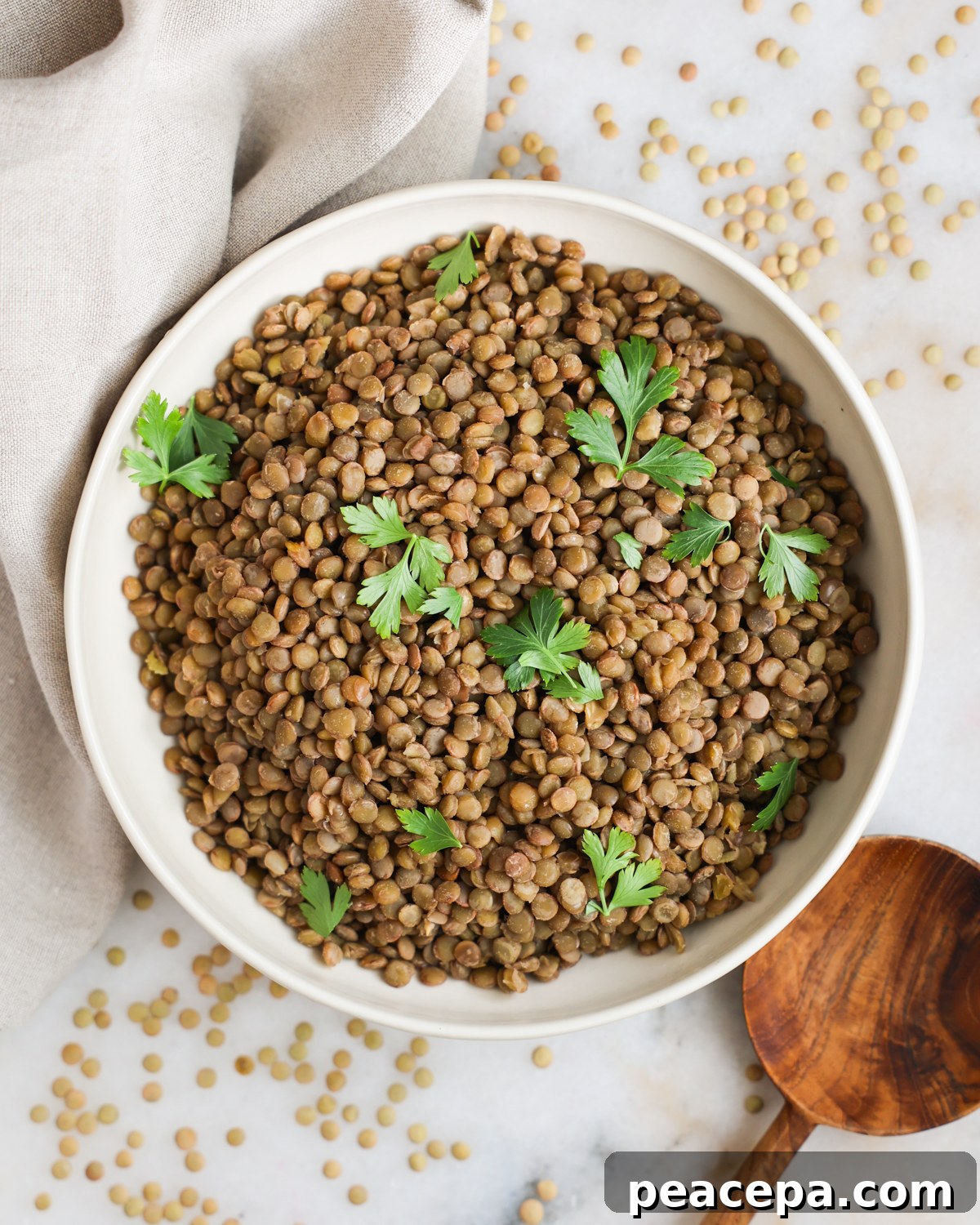 Cooked lentils on a plate. 