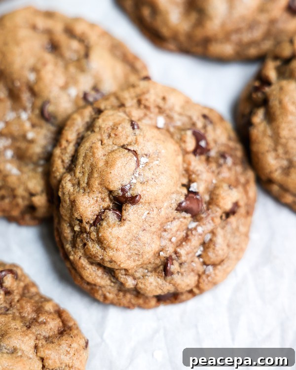 Vegan Chocolate Chip Cookies