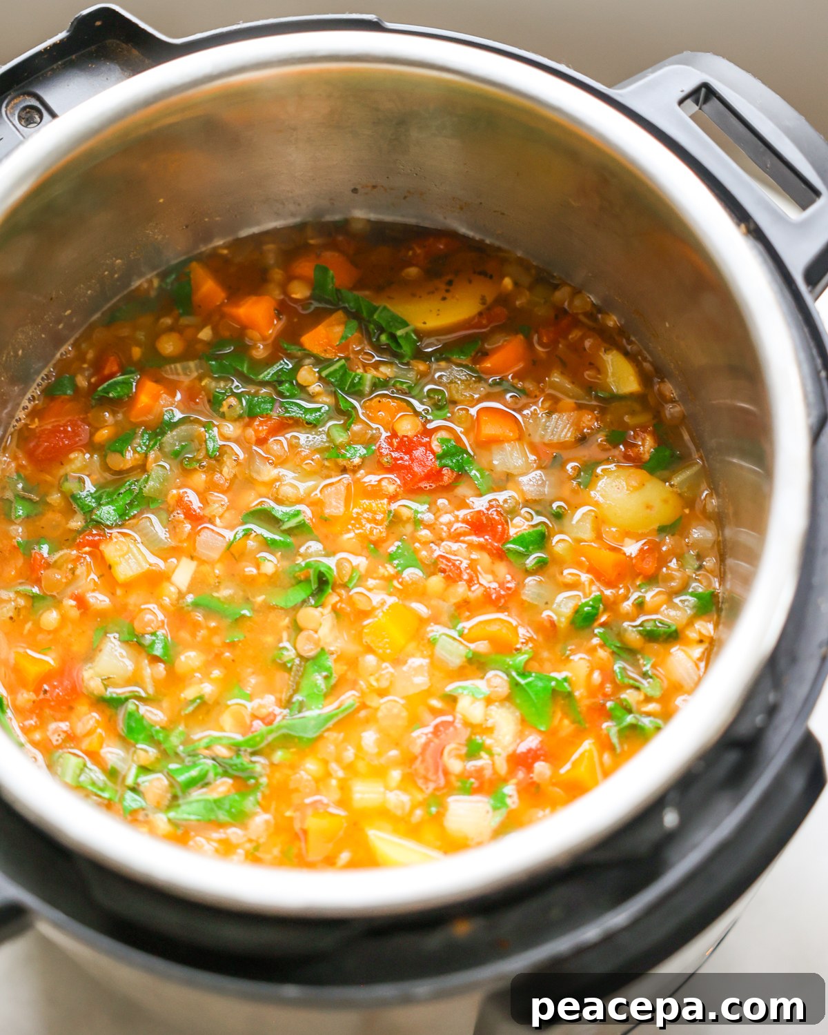 instant pot lentil soup