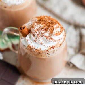 overhead vegan hot chocolate in clear mug