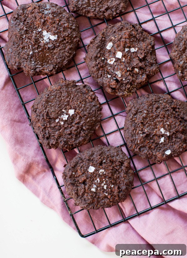 Double Chocolate Black Bean Cookies