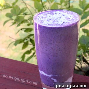 blueberry smoothie by Eco Vegan Gal
