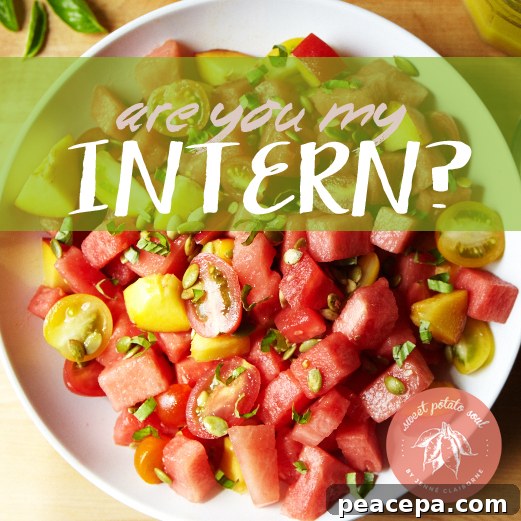 Watermelon Salad 