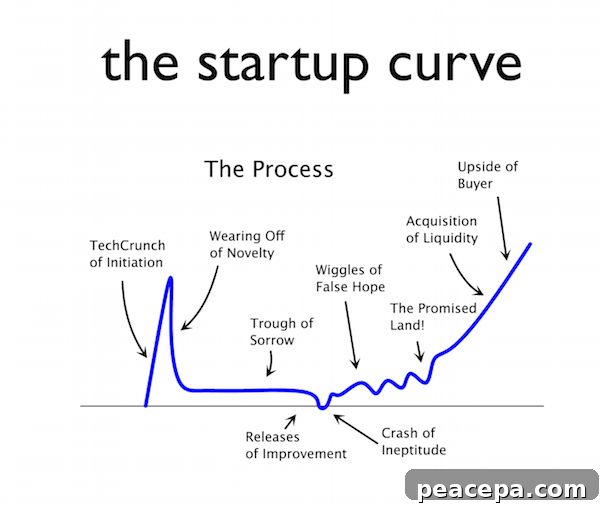 Trough of Sorrow Startup Curve