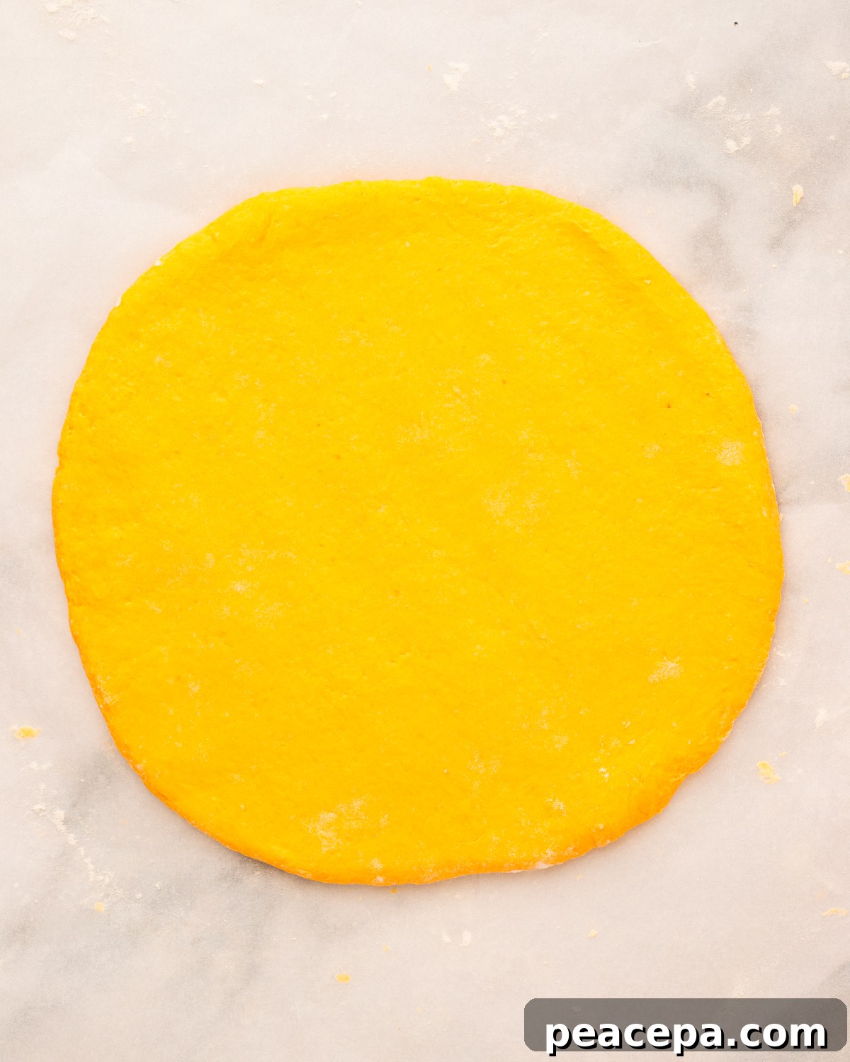 rolled dough on counter