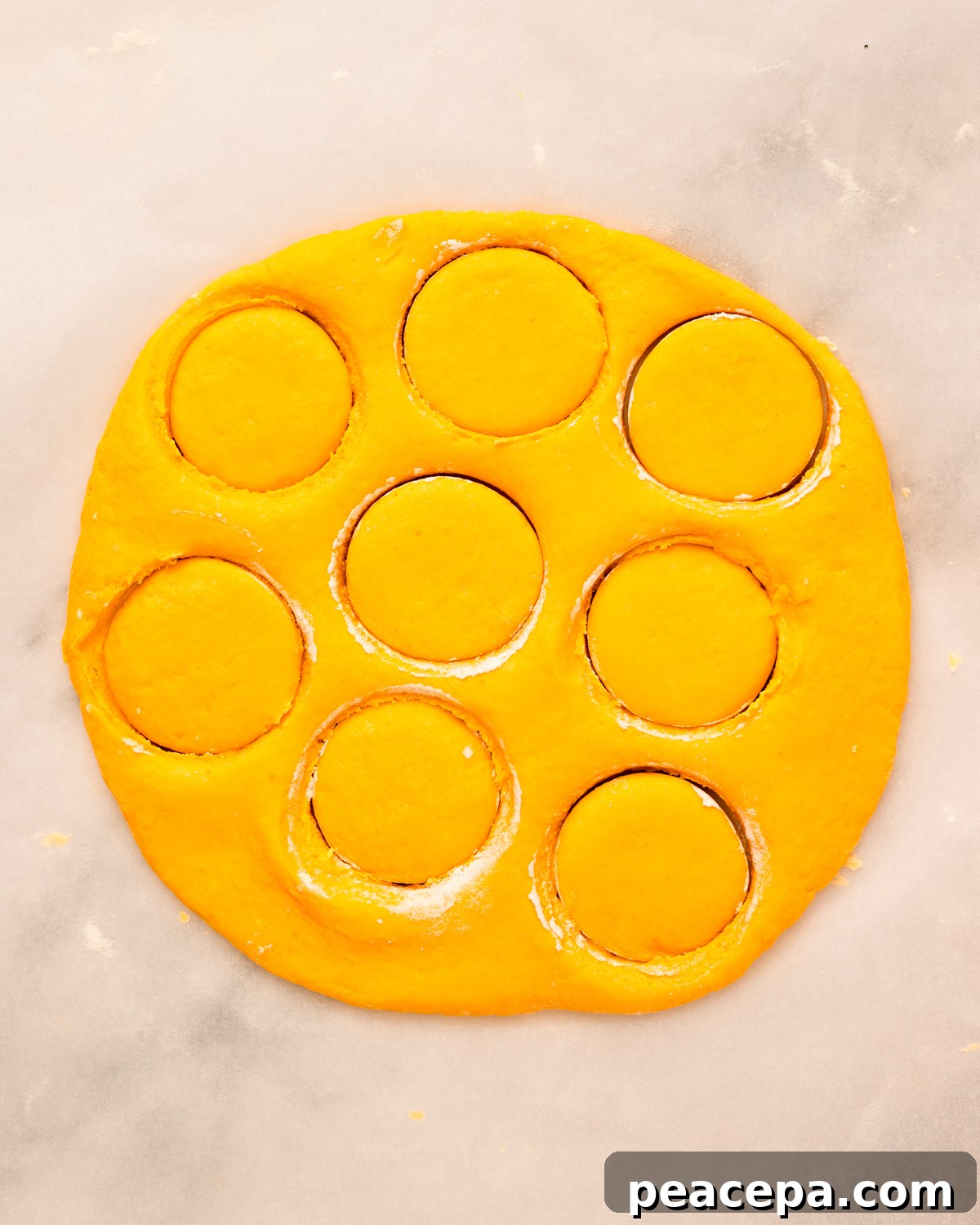 dough with biscuit rounds cut out