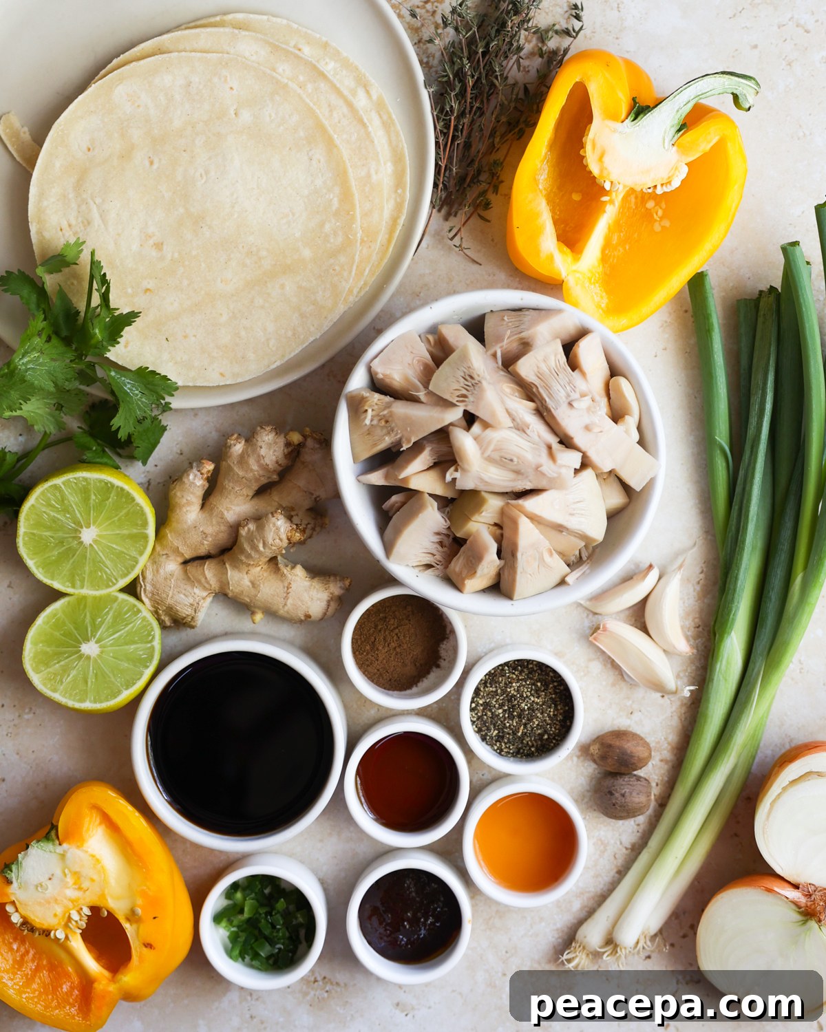 overhead jackfruit taco ingredients