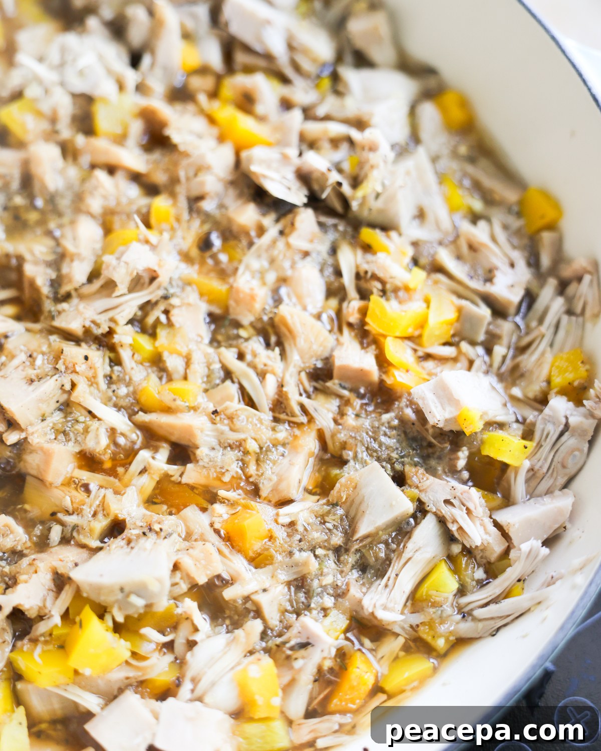 closeup jerk jackfruit