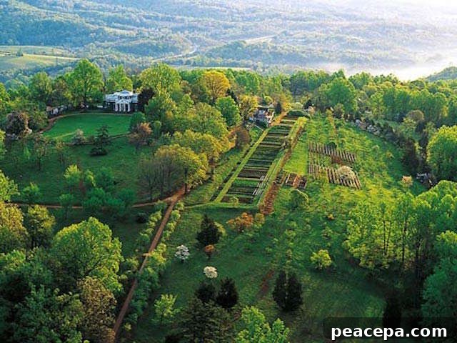 Monticello Gardens