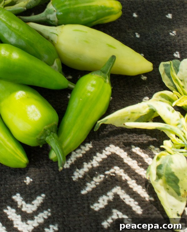 Monticello Fish Peppers