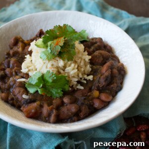 Vegan winter soup 3 Bean Chili | @sweetpotatosoul