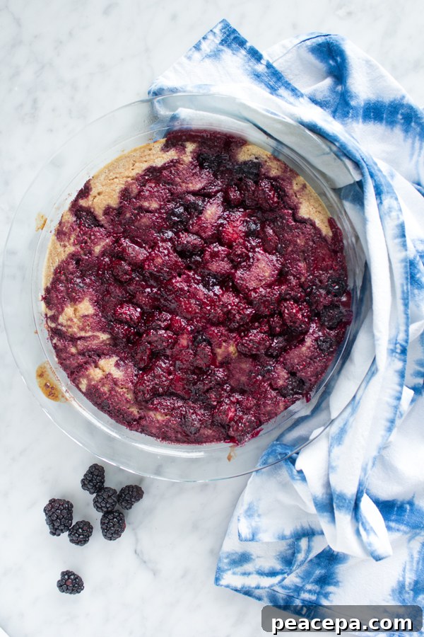 Blackberry Cobbler | www.sweetpotatosoul.com