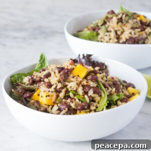Mango Black Bean Quinoa Salad Easy Vegan Recipes | www.sweetpotatosoul.com