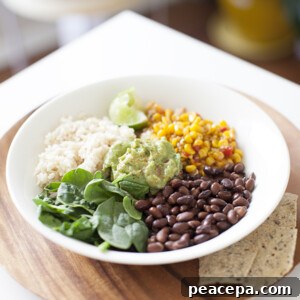 Burrito Bowl 5 Minute Easy Vegan Recipes