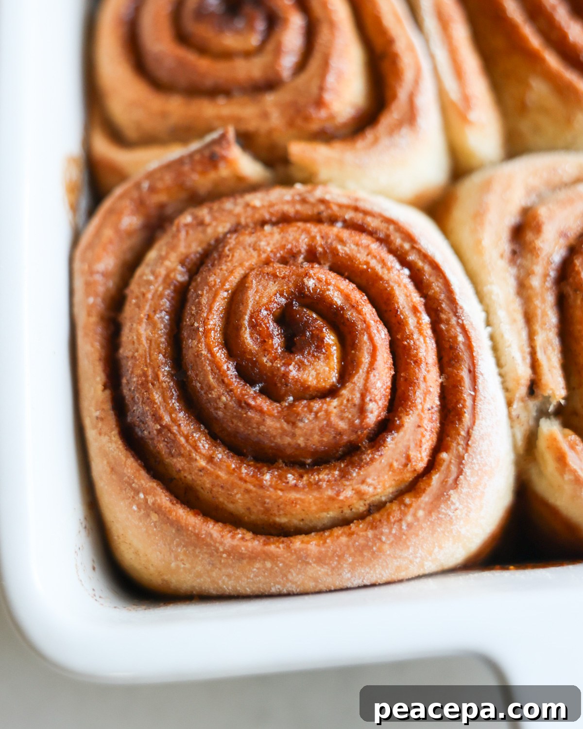 closeup unglazed cinnamon roll