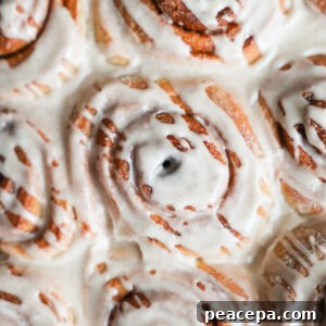 closeup gingerbread cinnamon rolls