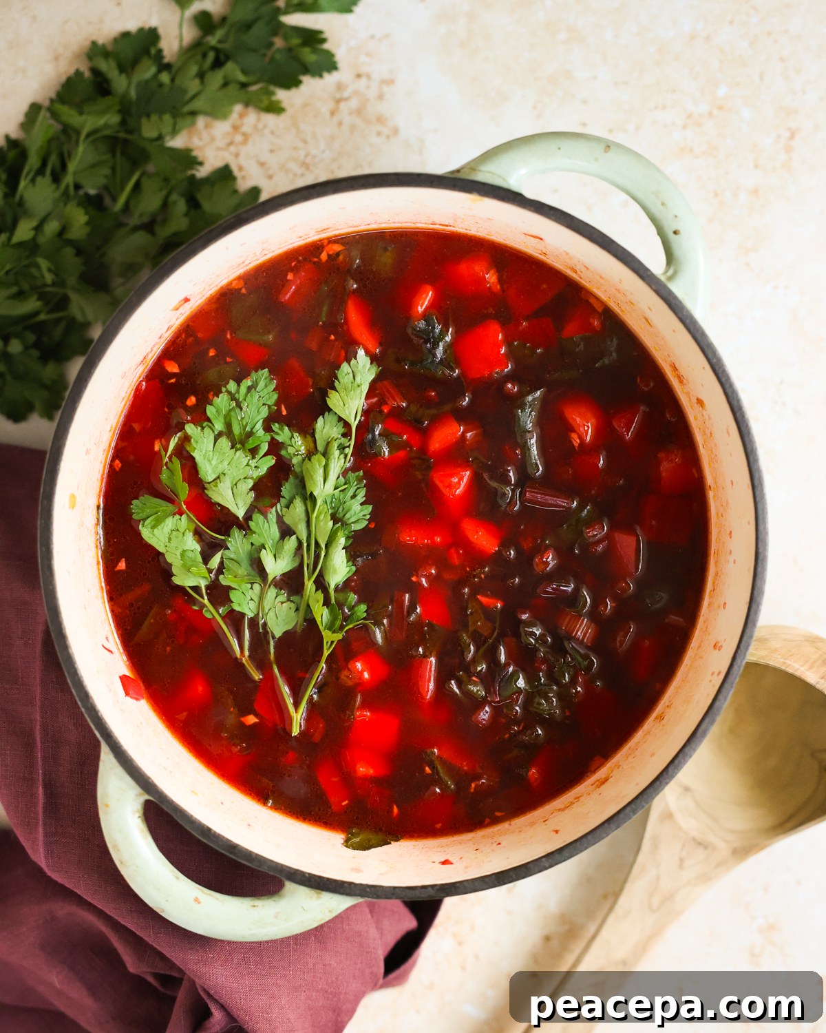 overhead vegan beet soup in pot
