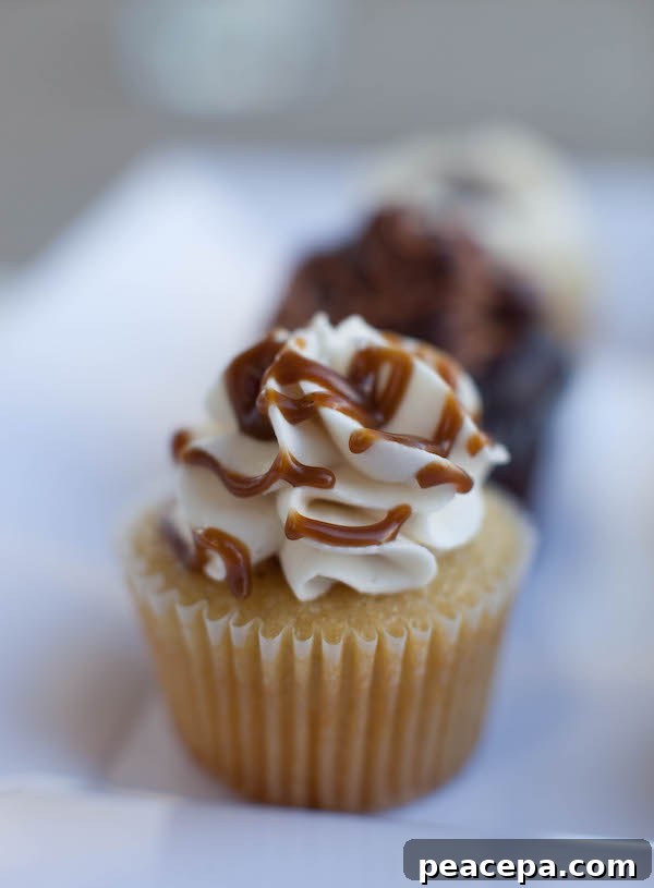 Vegan Wedding Catering Baby Love Sweetery 