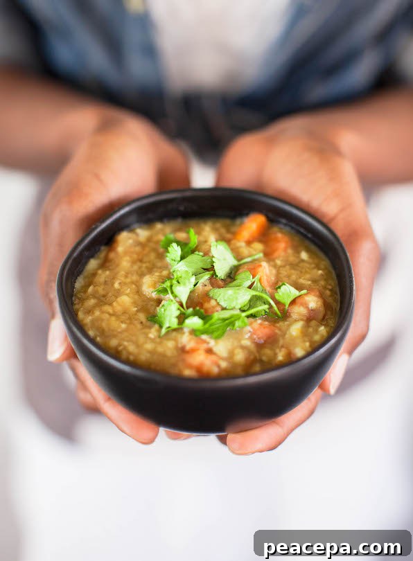 5-Ingredient Vegan Meals: 3 Filling Recipes with Video 3 Lentil Carrot Soup 5 Ingredient Vegan Recipes | @sweetpotatosoul