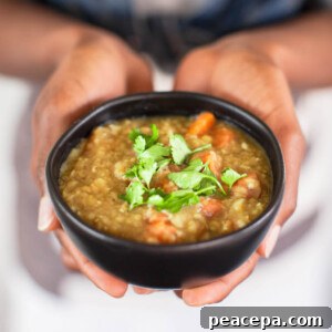 5-Ingredient Vegan Meals: 3 Filling Recipes with Video 6 Carrot Red Lentil Soup