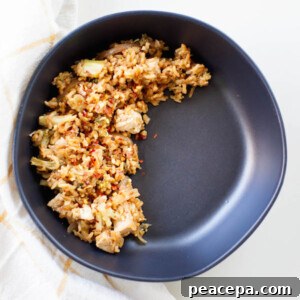 5-Ingredient Vegan Meals: 3 Filling Recipes with Video 7 Tofu Teriyaki Fried Rice
