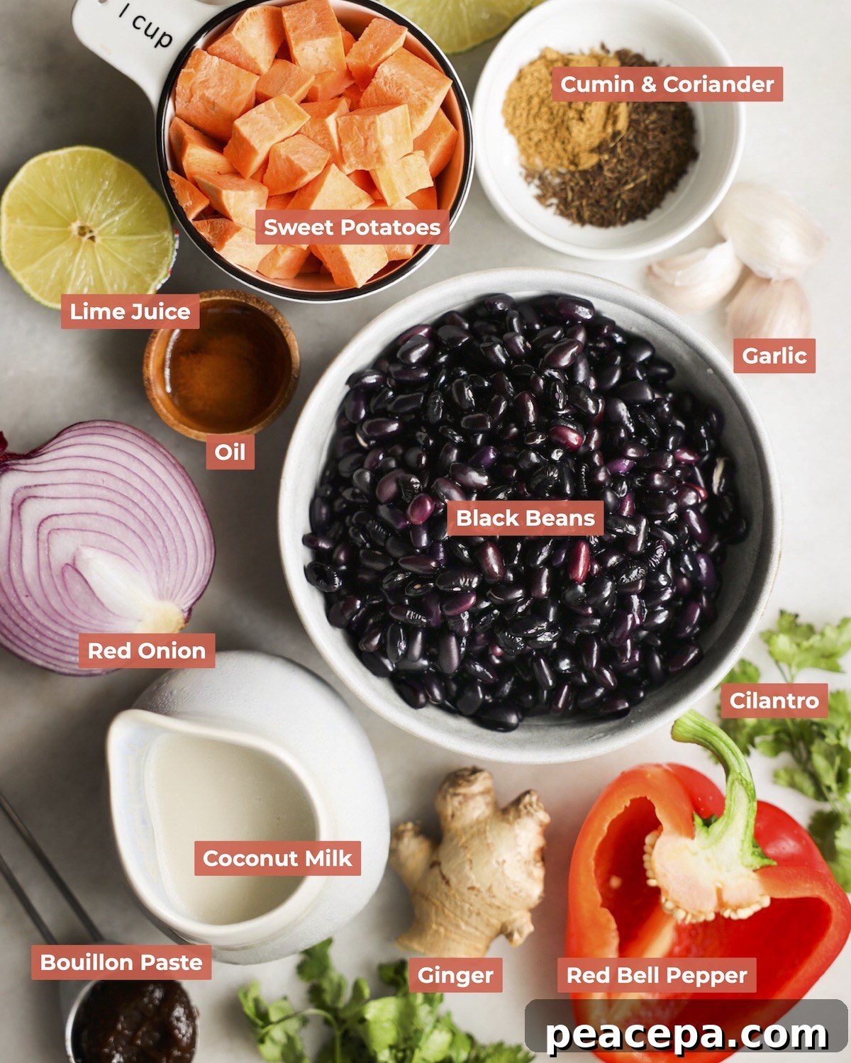 Labeled black bean soup ingredients.