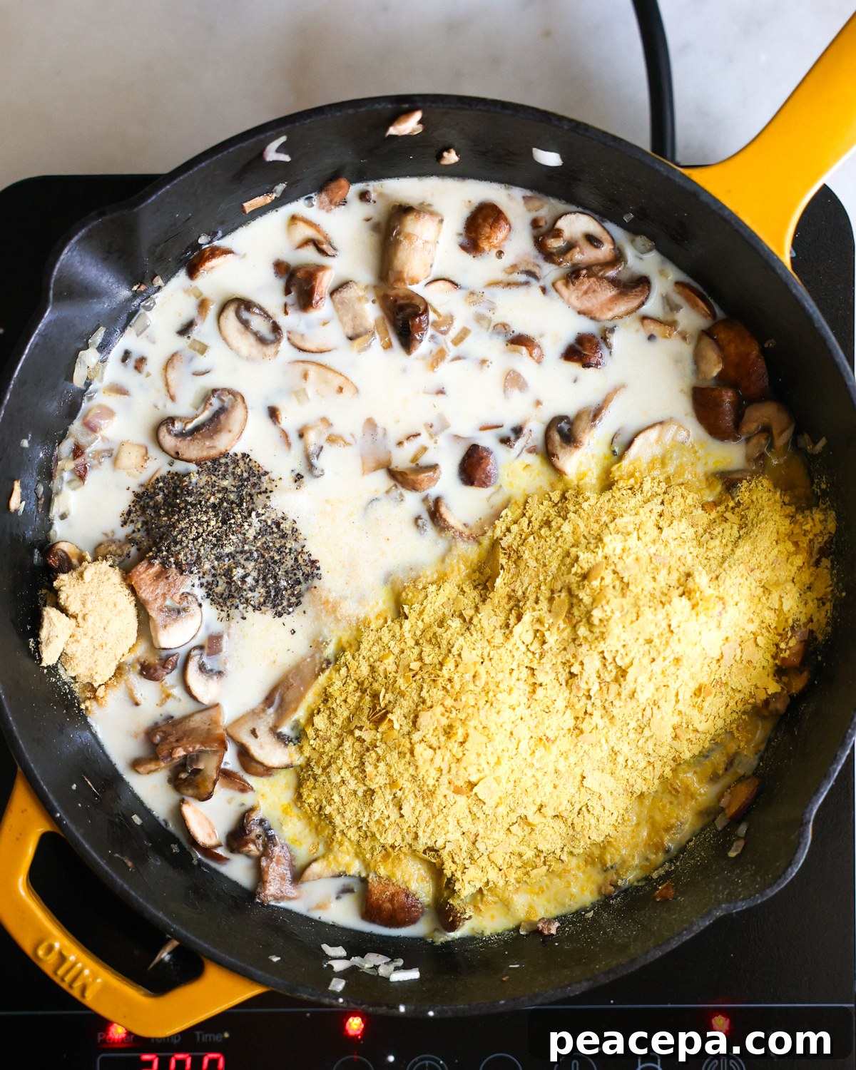 overhead spices added to alfredo sauce