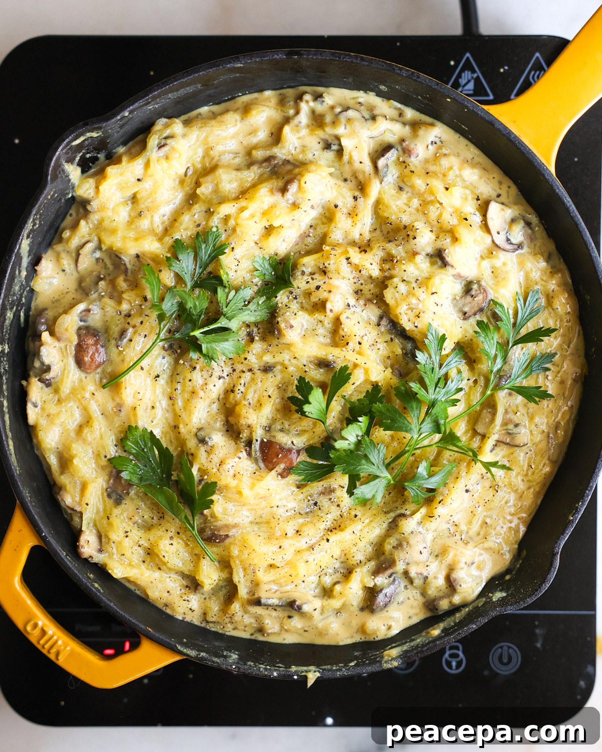 overhead spaghetti squash alfredo in skillet