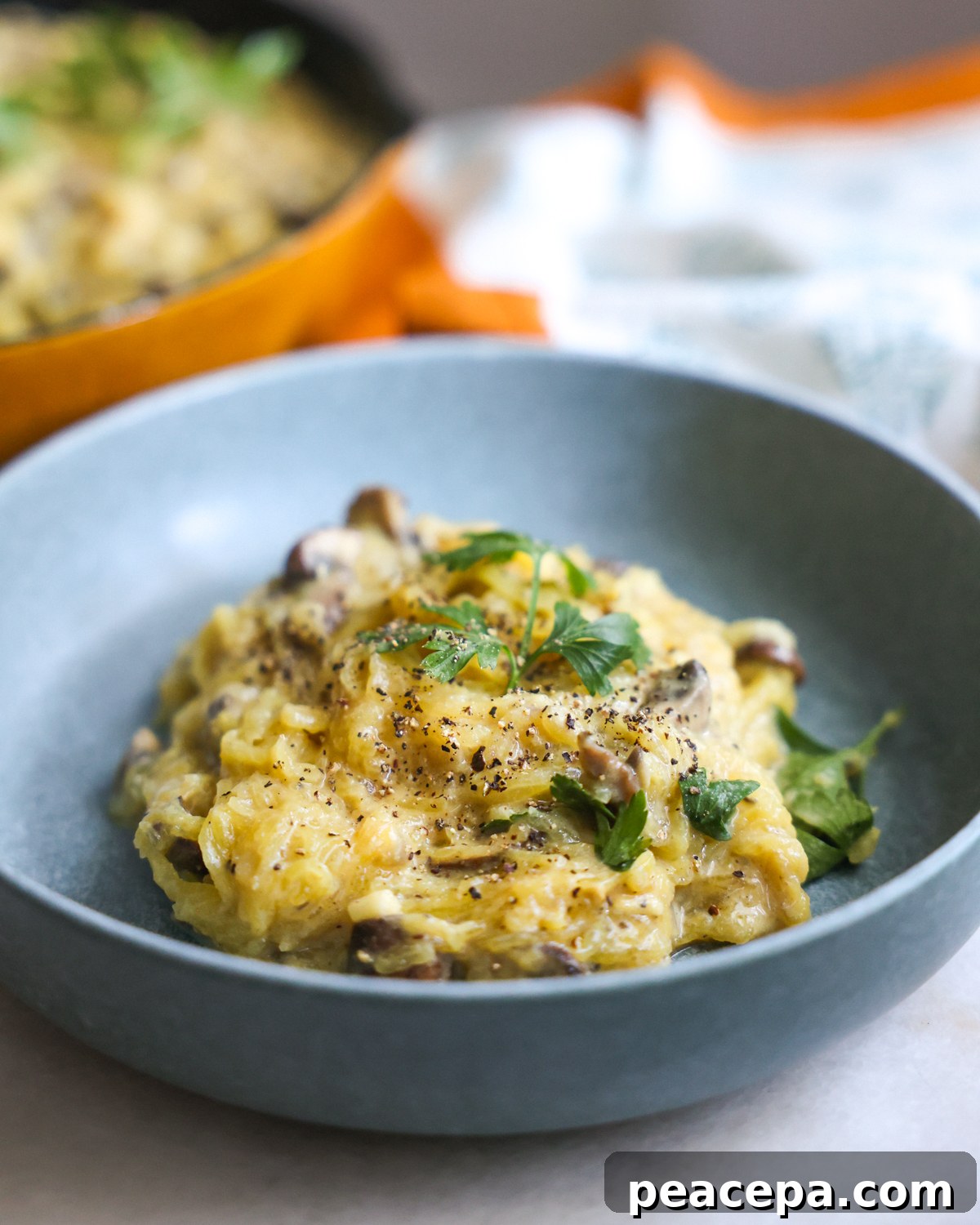 alfredo spaghetti squash in bowl