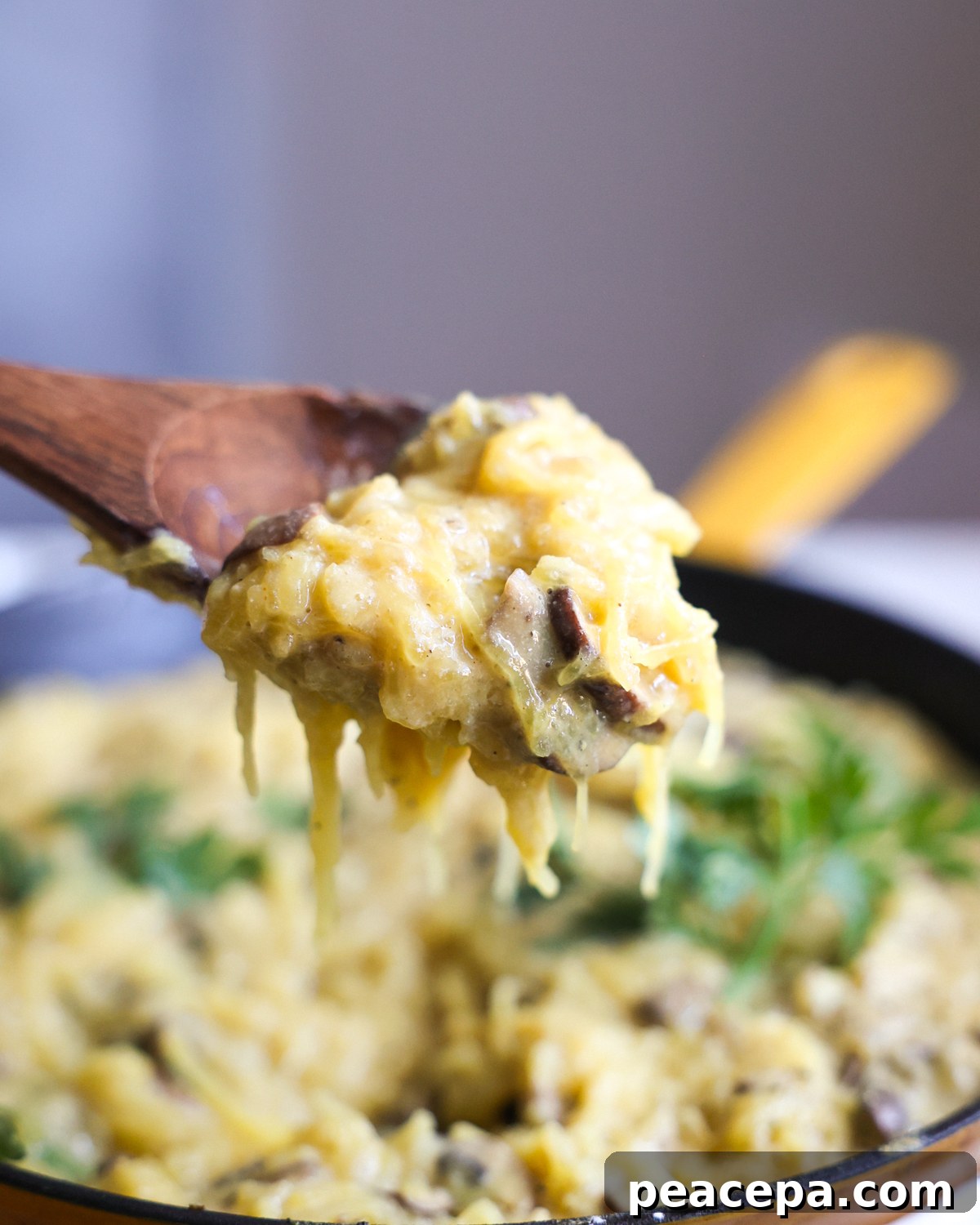 scoop of alfredo spaghetti squash