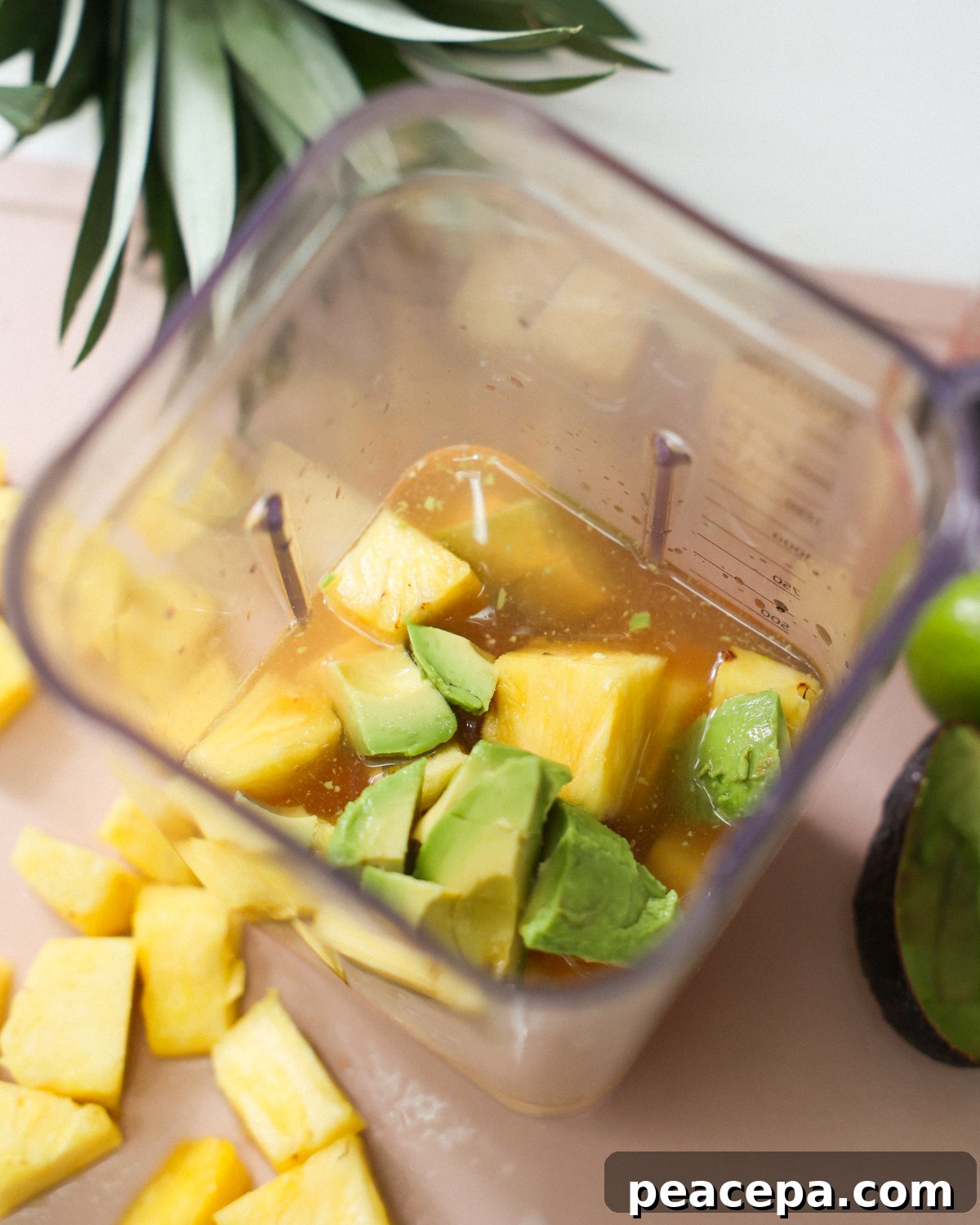 ingredients in blender