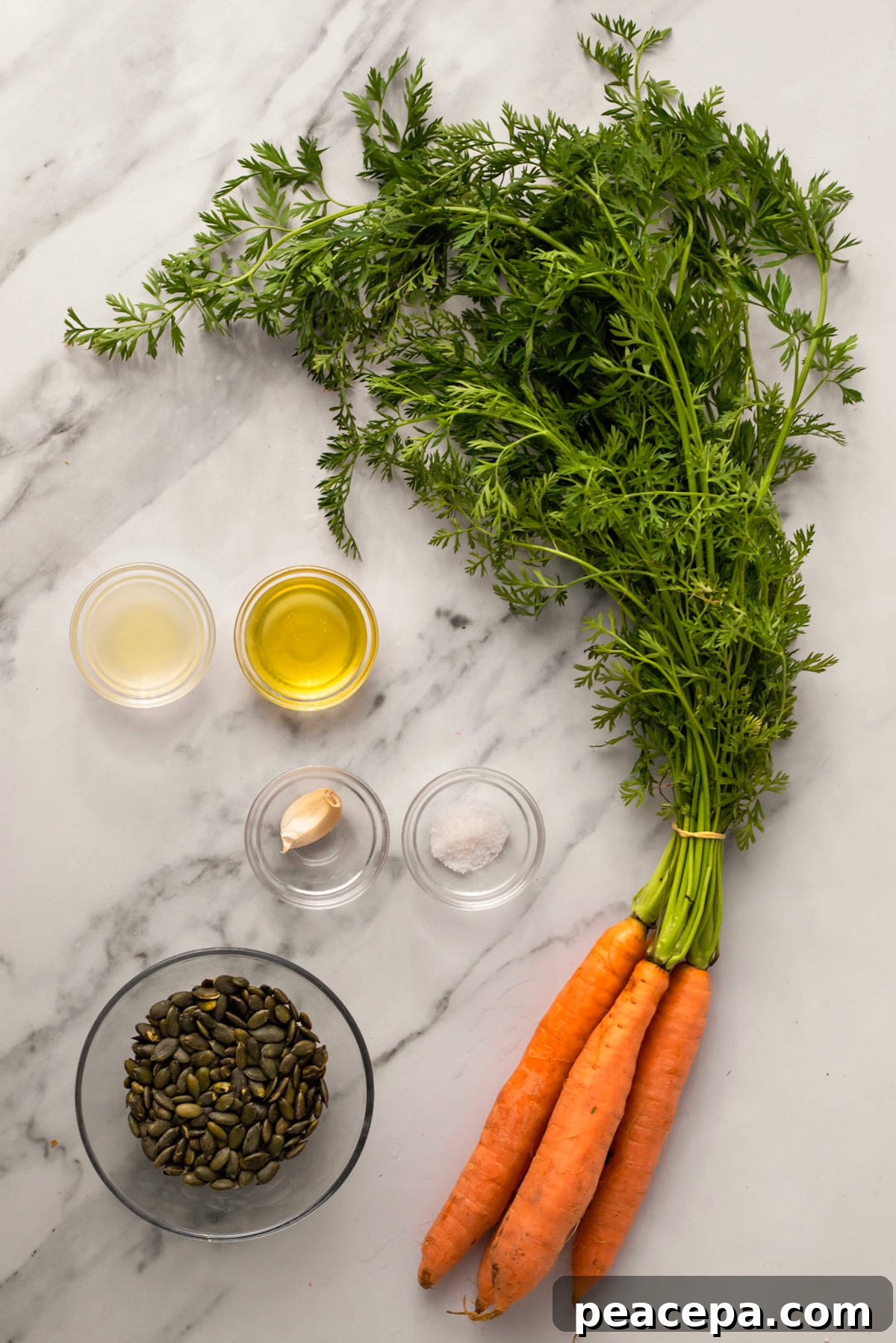 overhead of carrot top pesto ingredients