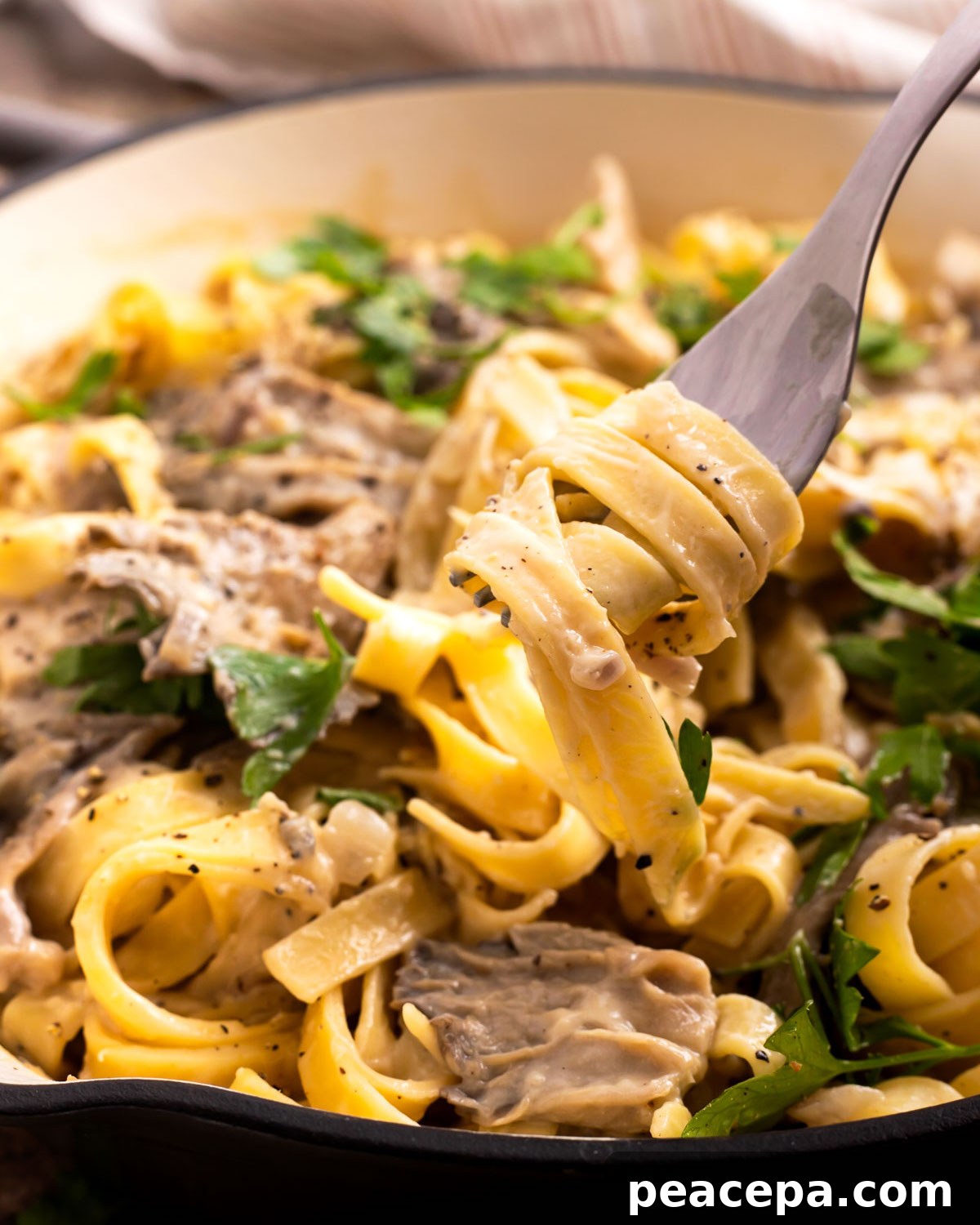twirling mushroom alfredo pasta on a fork
