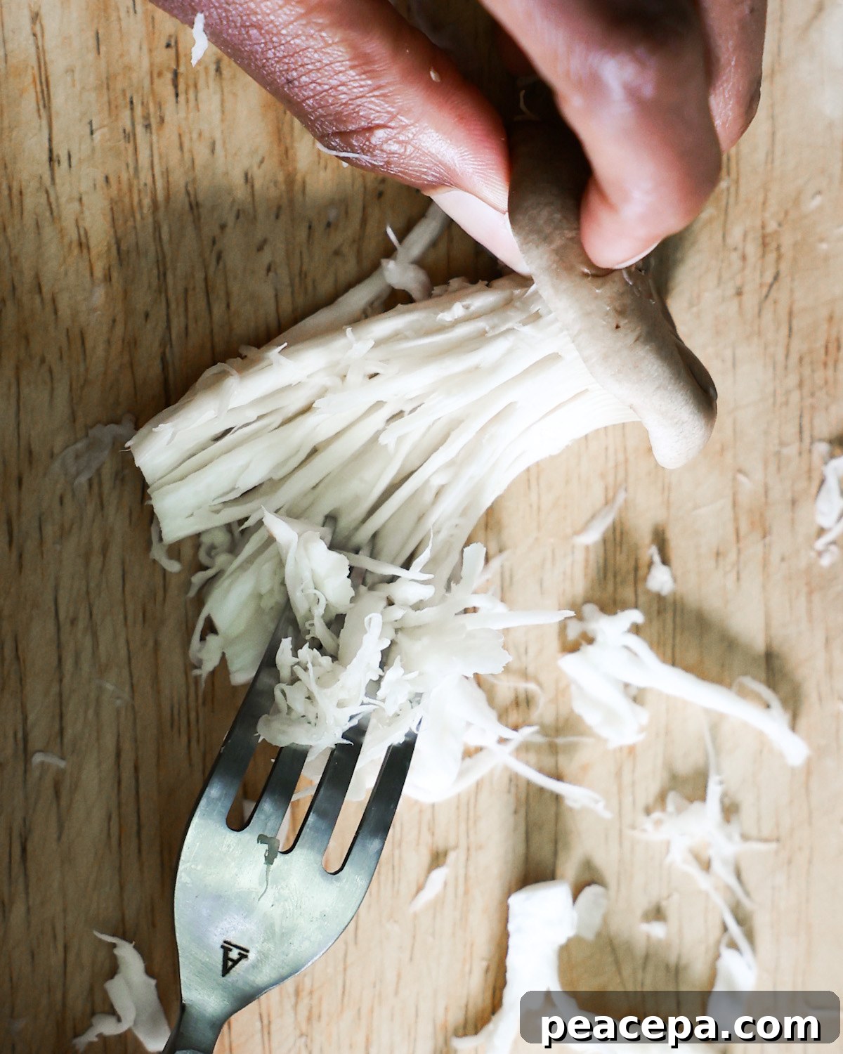 king oyster mushroom shredded with a fork