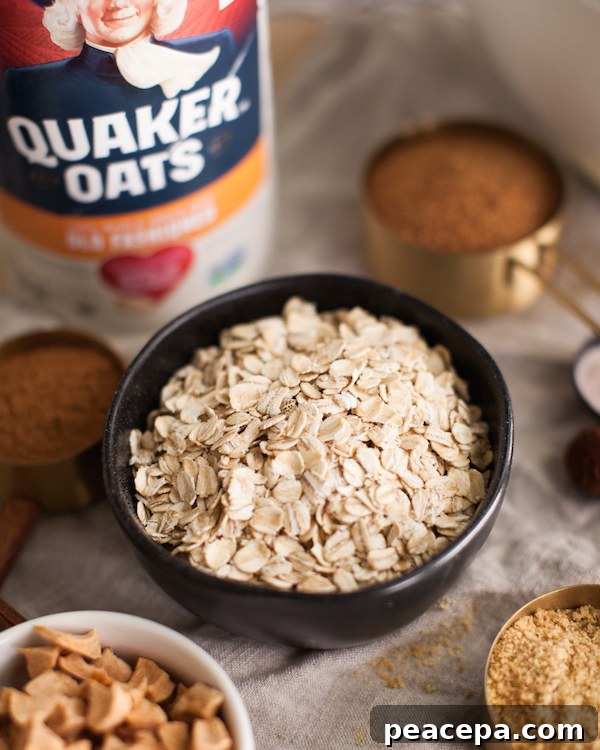 Apple Cinnamon Oatmeal Mix 