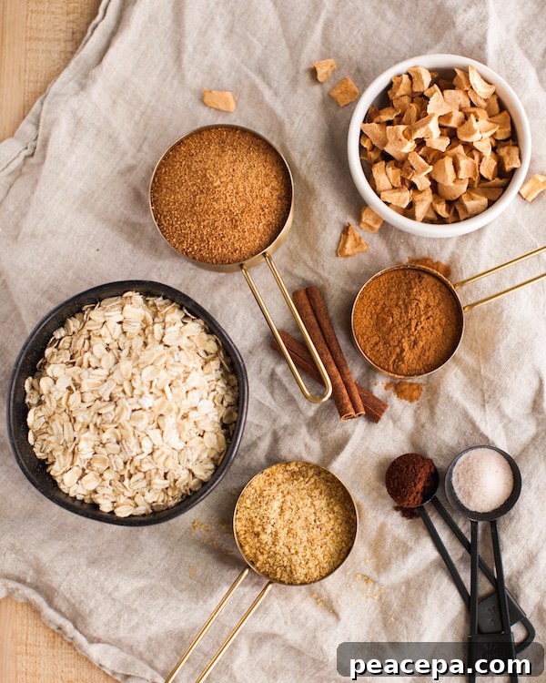 Apple Cinnamon Oatmeal Mix 