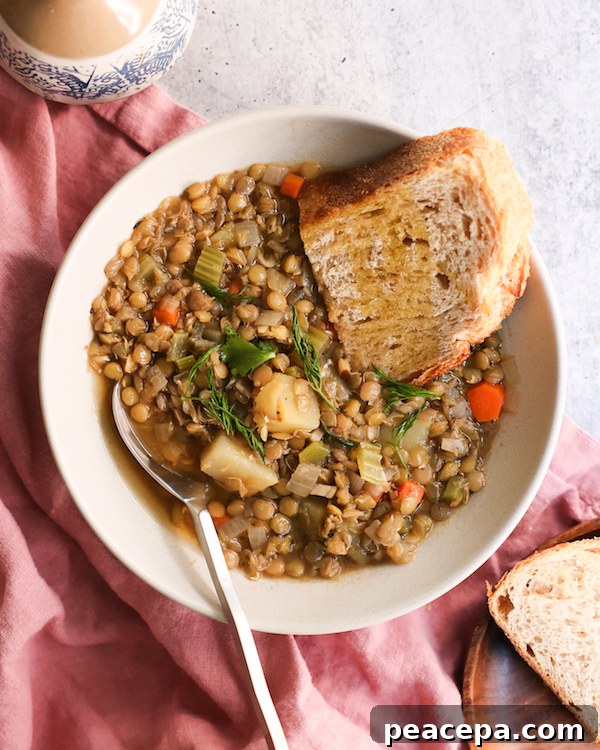 Vegan lentil soup
