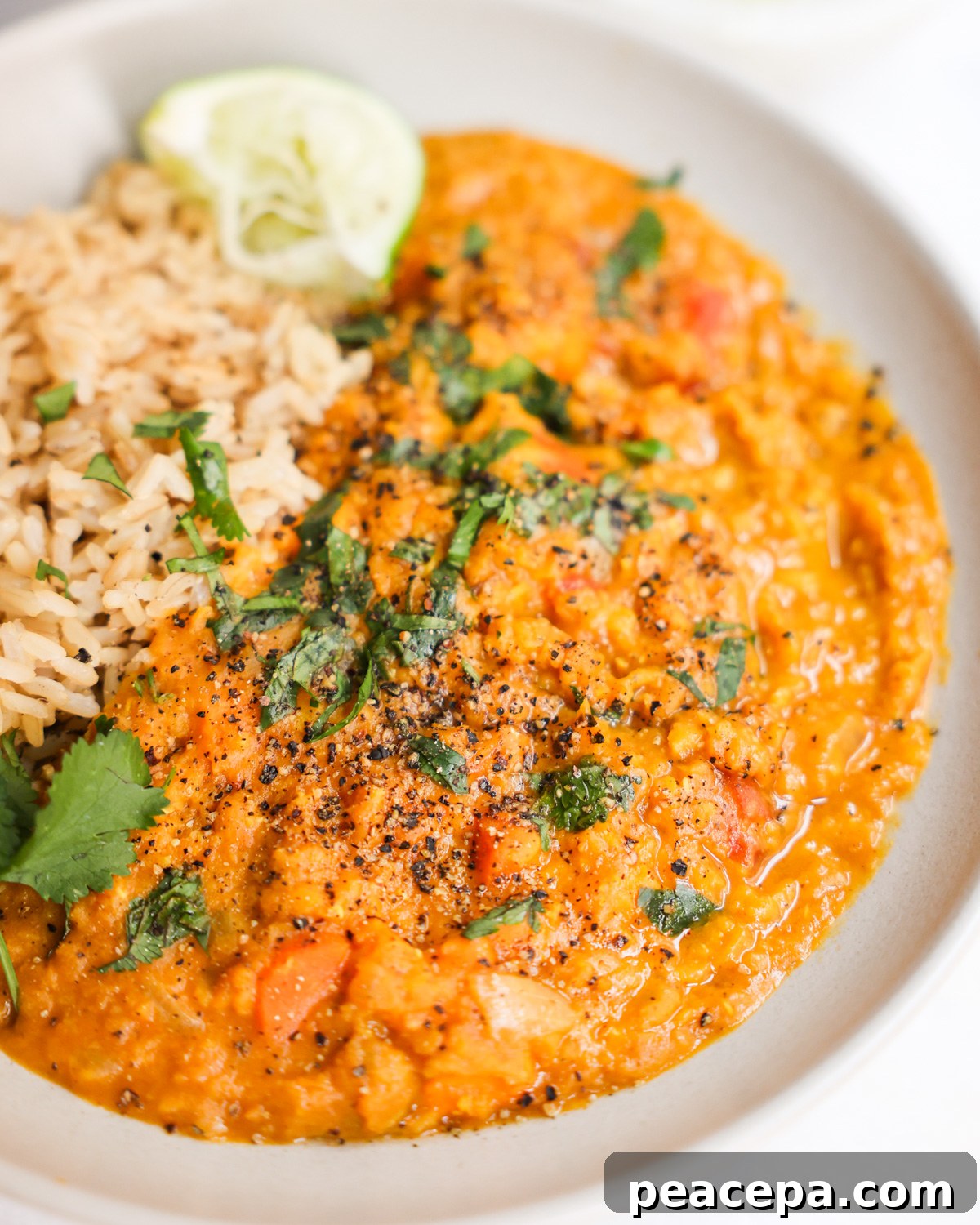 vegan red lentil curry in a white bowl